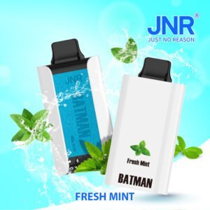 4 Fresh Mint JNR Batman 11k Disposable Vape Device | Best Price | UK