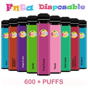 Fnta: Disposable Vapes in 20mg - 600 Puffs - vapeswholesale